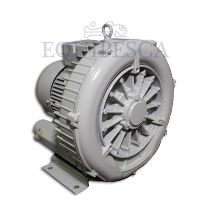 BLOWER PIONEER 3HP.3PH.220/440V. C/FILTRO (PMF-16))(PRB50-620) - 2