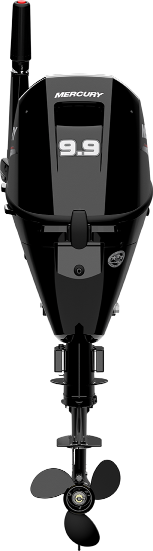 MOTOR MERCURY 9.9HP 4 TIEMPOS (9.9MLH 4S) 1F10211BK - 6