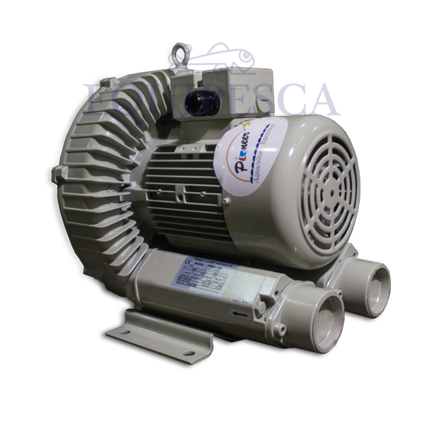 BLOWER PIONEER 2HP.1PH.110/220V. C/FILTRO (PMF-16))(PRB50-510) - 6